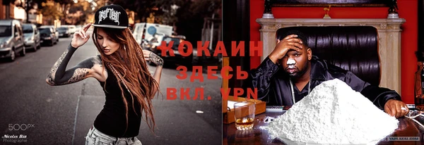 соль ск Арсеньев