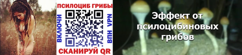 Галлюциногенные грибы MAGIC MUSHROOMS  дарнет шоп  Сургут 