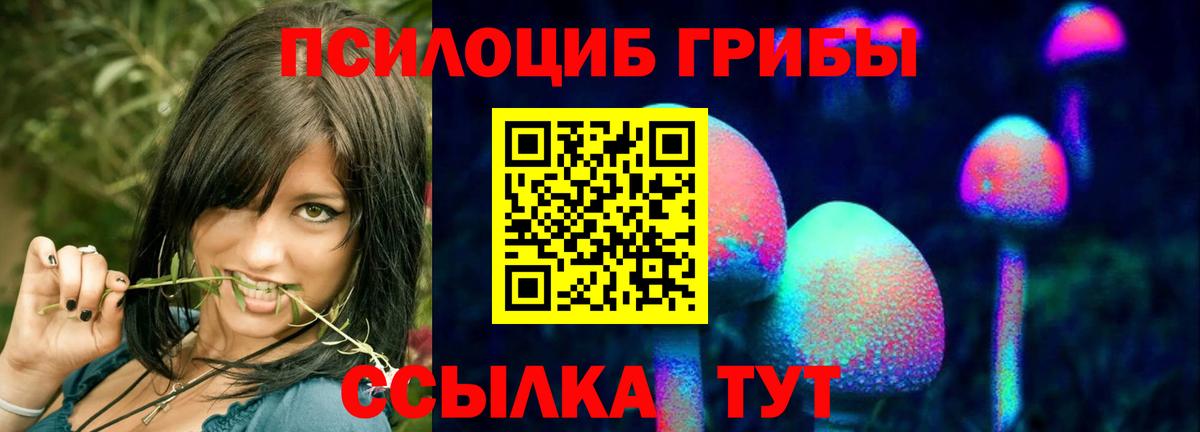 Псилоцибиновые грибы Cubensis  Псилоцибиновые грибы мухоморы  Сургут  Вход с VPN 