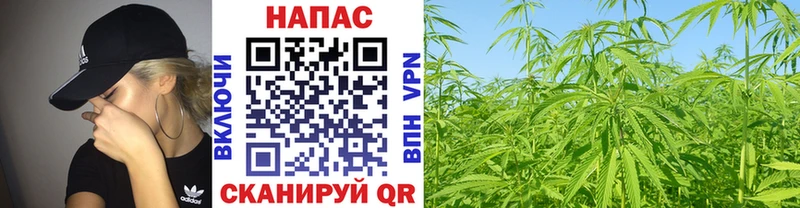 МАРИХУАНА Amnesia  Сургут 